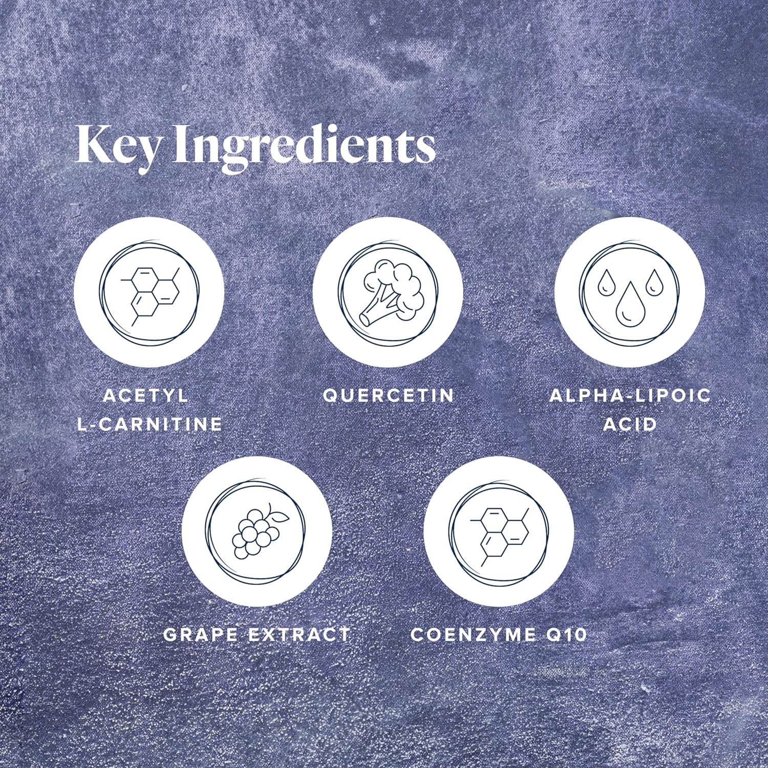 LifeVantage Protandim NRF1 Synergizer, NRF1 Activator for Cellular Health, Function, ATP Production, Mitochondrial Supplements for Energy, Vitality & Aging Support, 60 Capsules